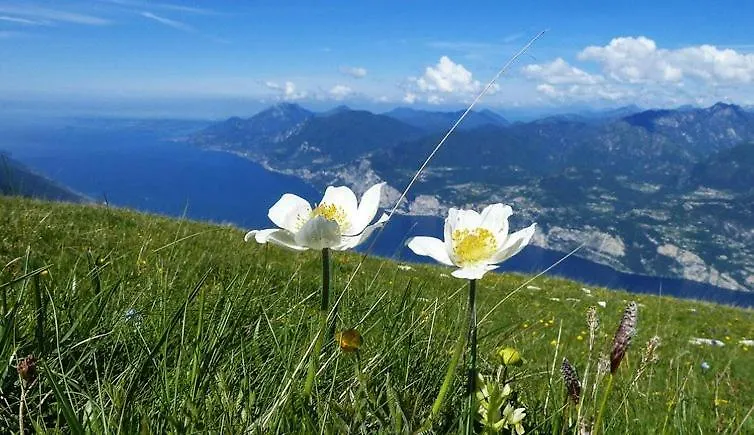 Hotel Monte Baldo Brenzone sul Garda