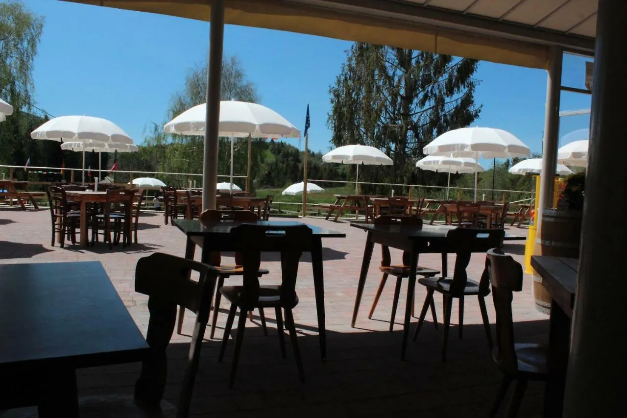 Hotel Monte Baldo Brenzone sul Garda 0*,