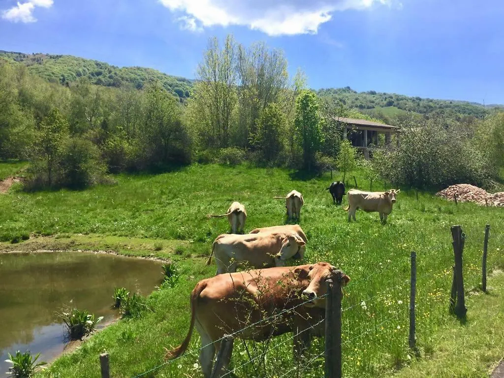 Hostel Hotel Monte Baldo Brenzone sul Garda